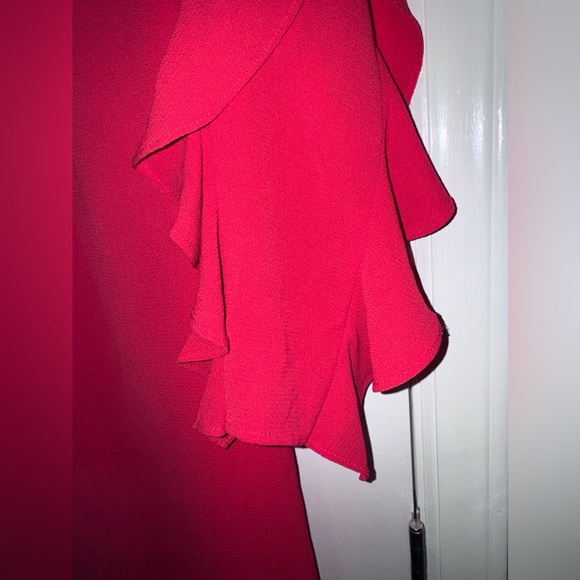 Maggy London Women's Petite Red Crepe Novelty Dress with Sleeve & Neck Shirring - Picture 6 of 15